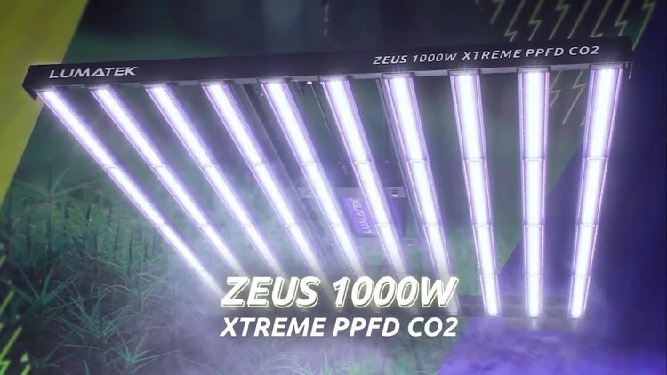 Lumatek Zeus 1000w Pro, Lumières LED, Éclairage LED