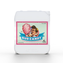 Advanced Nutrients BUD CANDY 5L | strong magnesium