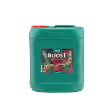 Fertilizer Canna Boost 10L flowering stimulator