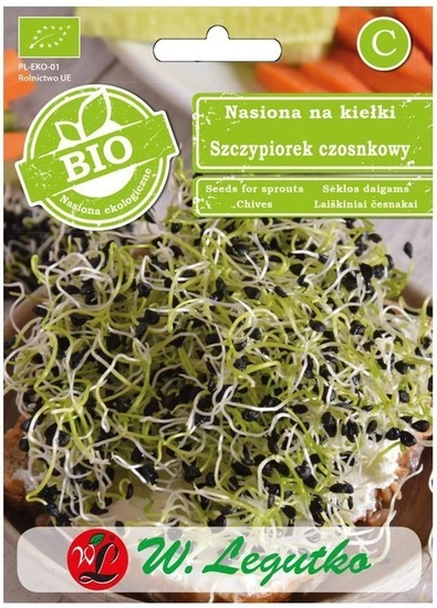 Garlic chives sprouts seeds (Allium sativum) 